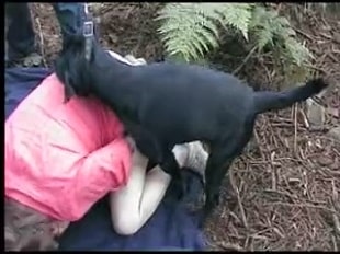 Иностранцы снимают секс с собакой в джунглях