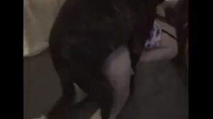 Девушка по ночам сношается с плоскомордым догом