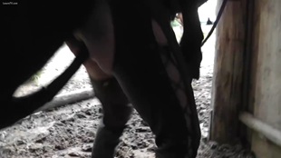 Мощная телка с удовольствием погружается в зоосекс